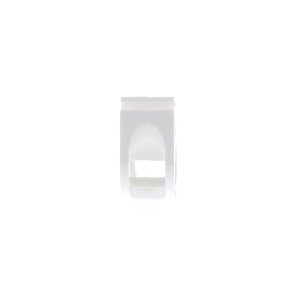 Pinch Clamp - Image 5