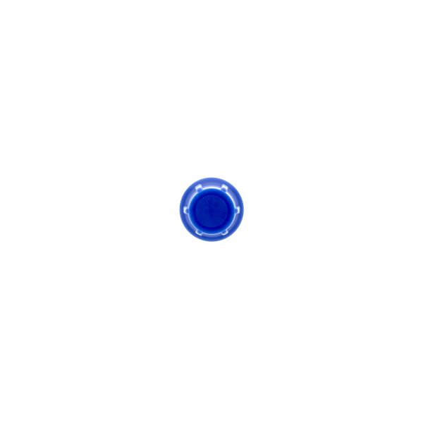 Male Luer Slip Cap Blue